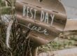 Best Day Ever wood sign in ornamental grass