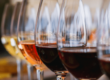 Row of wine glasses