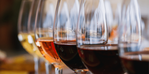 Row of wine glasses Row of wine glasses