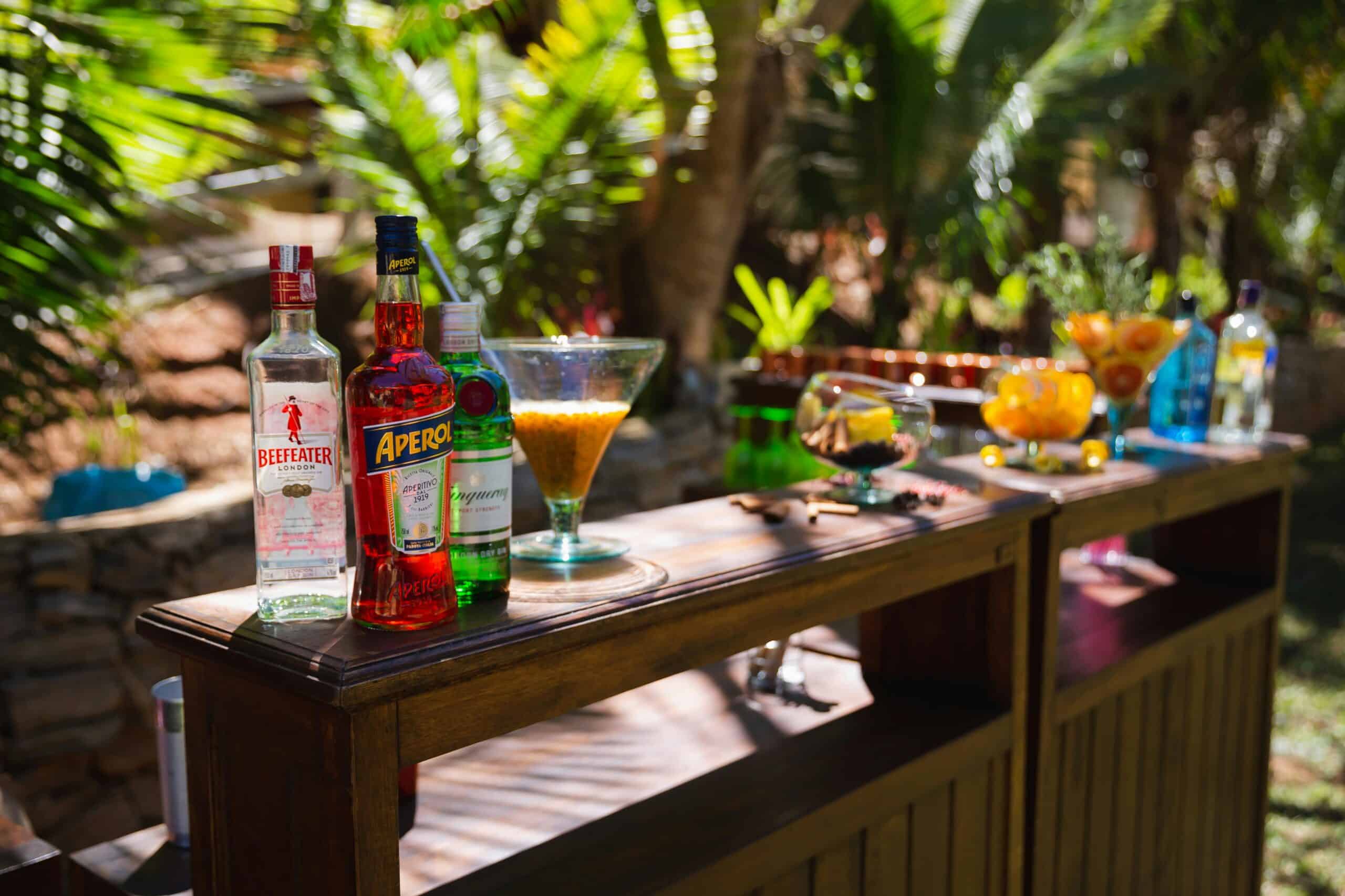Mobile Bar Rental for Backyard Parties